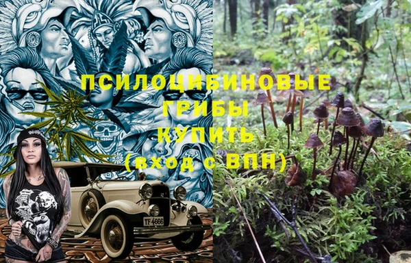 винт Горняк