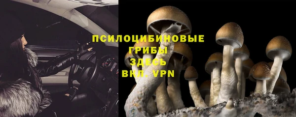 бутират Горнозаводск
