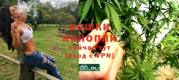 винт Горняк