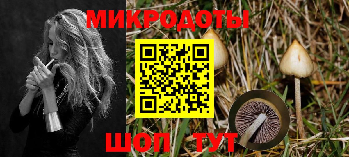 Нерюнгри  Псилоцибиновые грибы Psilocybe  даркнет сайт  Вход с VPN  Галлюциногенные грибы мицелий 